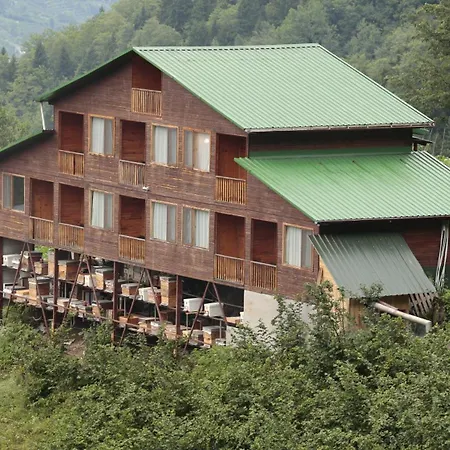 Dedaena * Artvin
